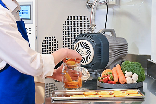benchtop freeze dryer food freeze drier